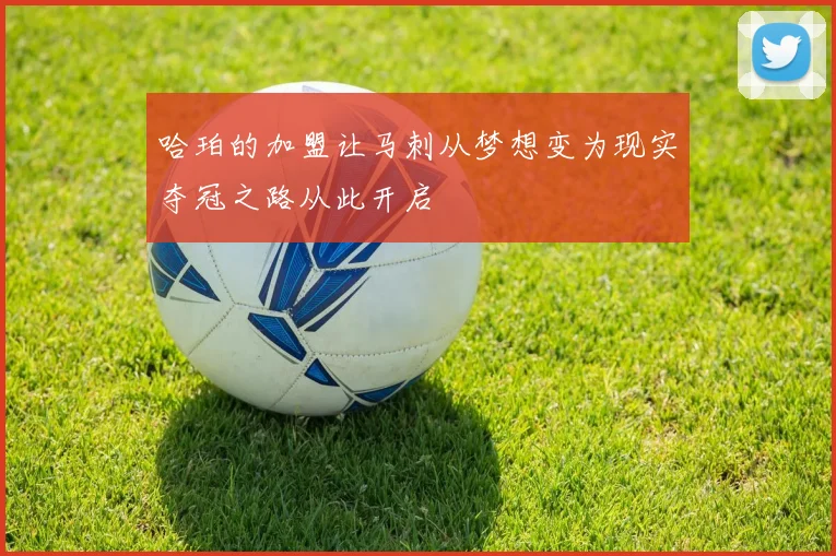 哈珀的加盟让马刺从梦想变为现实夺冠之路从此开启