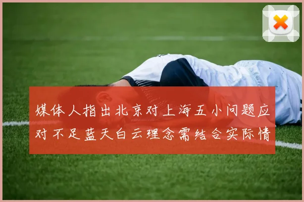 媒体人指出北京对上海五小问题应对不足蓝天白云理念需结合实际情况