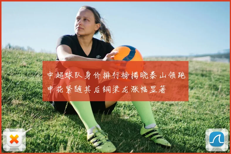 中超球队身价排行榜揭晓泰山领跑申花紧随其后铜梁龙涨幅显著